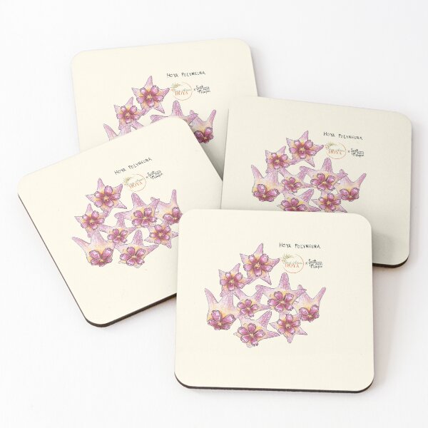 Item preview, Hoya Polyneura flower watercolor illustration for shirt printing, plant stickers, hoya plant stickers | Bay Area Hoya designed and sold by BayAreaHoyaShop.
