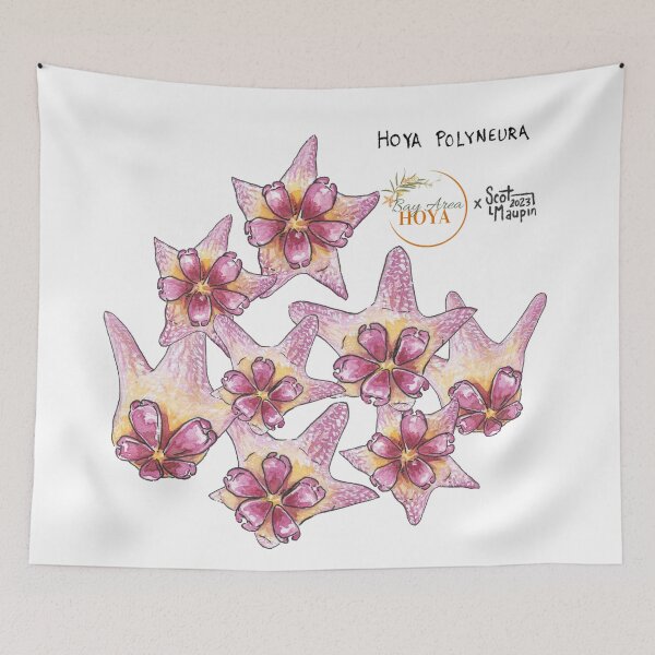 Item preview, Hoya Polyneura flower watercolor illustration for shirt printing, plant stickers, hoya plant stickers | Bay Area Hoya designed and sold by BayAreaHoyaShop.