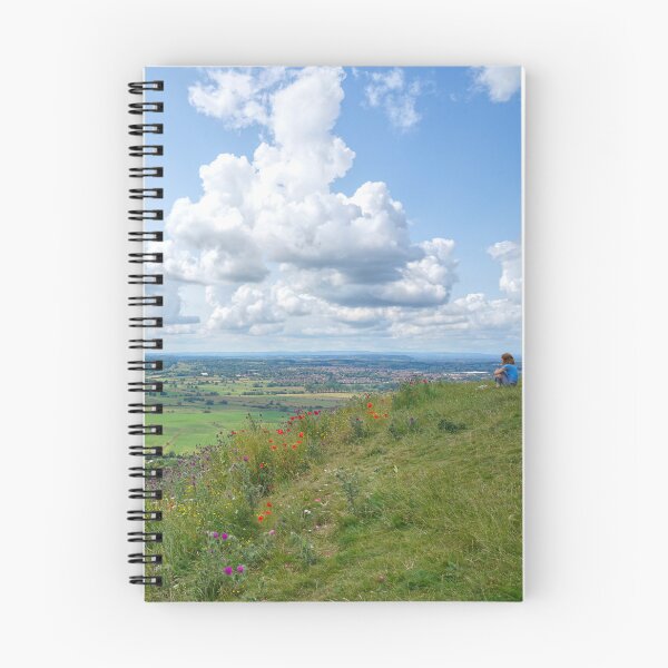 Item preview, Admiring The Somerset Levels designed and sold by Alisonchambers2.