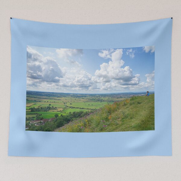 Item preview, Admiring The Somerset Levels designed and sold by Alisonchambers2.