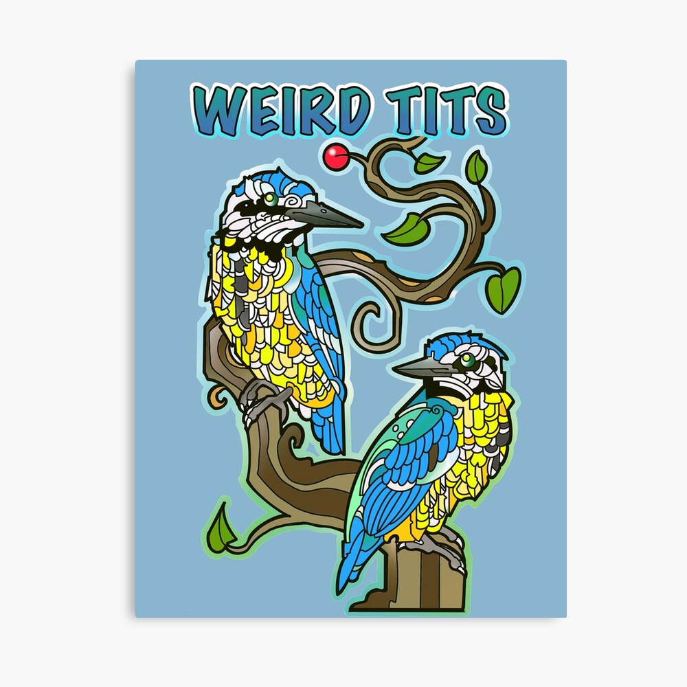 Weird tits, funny birds design