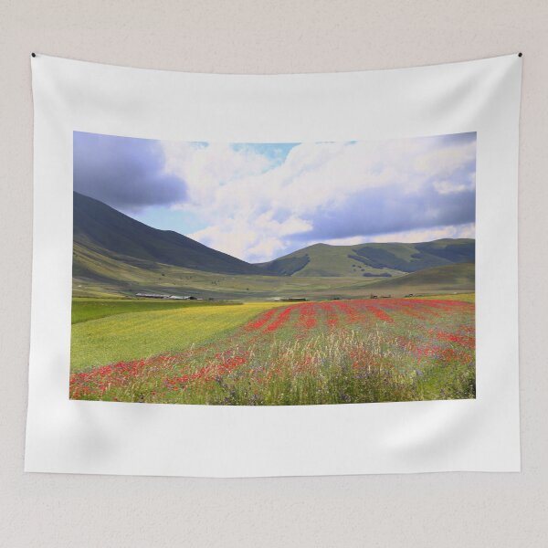 Item preview, The flowering of Castelluccio di Norcia designed and sold by annalisa56.