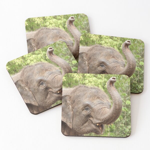 Item preview, Elephant showing of at zoo designed and sold by Mark Grimsley.