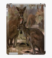 Vintage Kangaroo Painting (1909) iPad Case/Skin