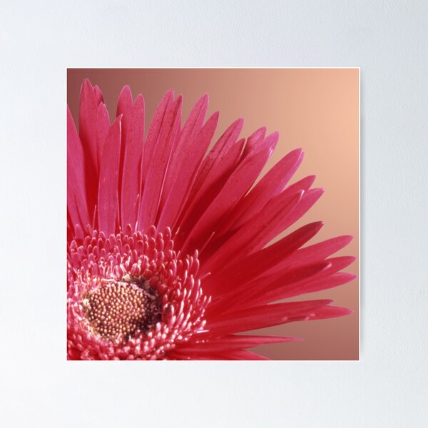 Item preview, Quarter Red Daisy designed and sold by Roger Otto.