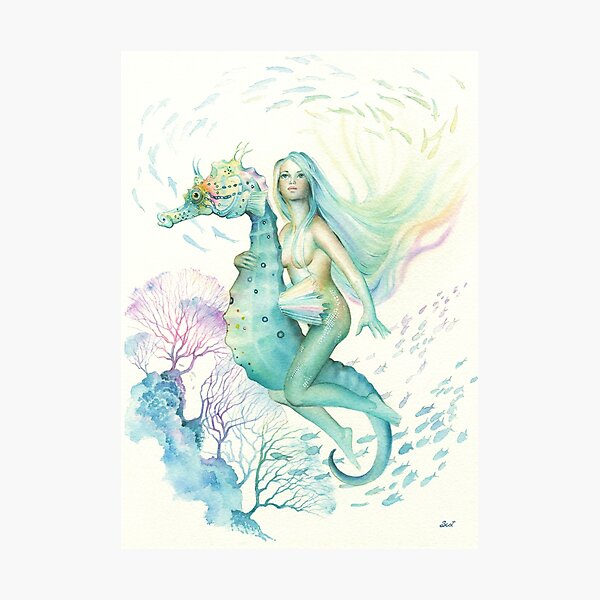 Sea Horse By Scot Howden Photographic Print