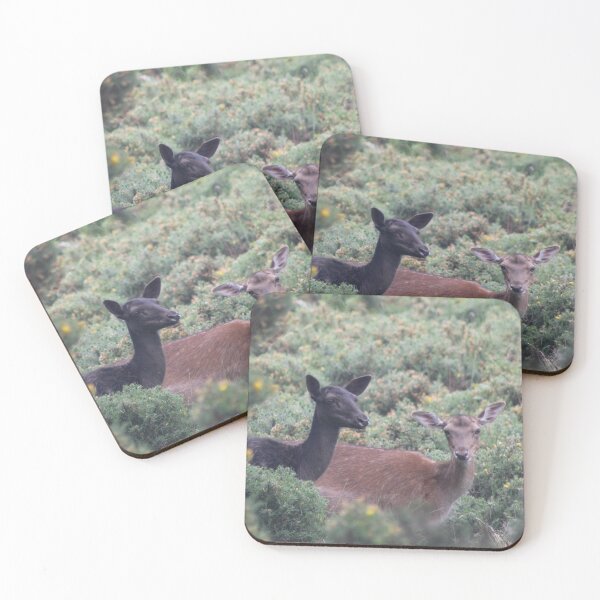 Item preview, Flourishing Fallow  designed and sold by naturaltiger.