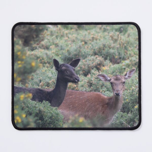 Item preview, Flourishing Fallow designed and sold by naturaltiger.