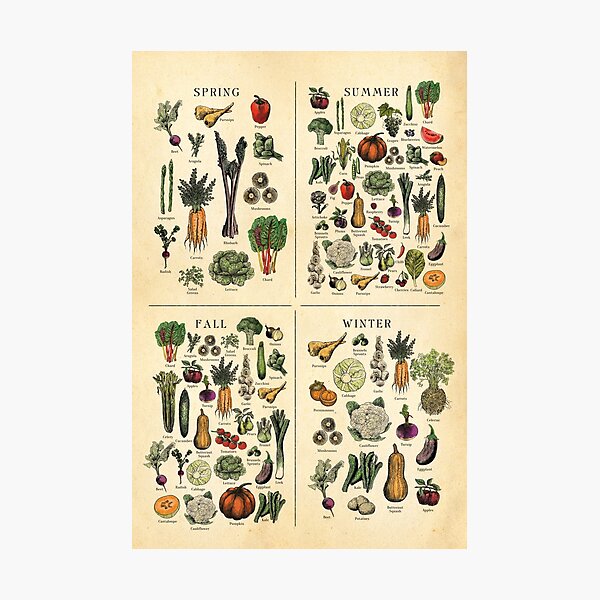 Item preview, American Midwest Seasonal Fruit and Vegetable chart designed and sold by Highdown73.