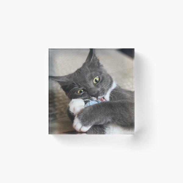 Item preview, Kitten with toy mouse designed and sold by GreyFeatherPhot.