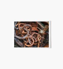 horse shoes Art Board