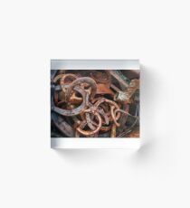 horse shoes Acrylic Block