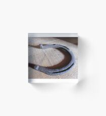 horse shoes Acrylic Block