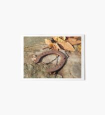 horse shoes Art Board