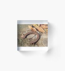horse shoes Acrylic Block