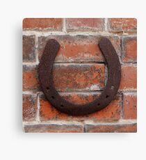horse shoes Canvas Print