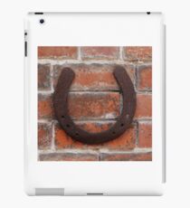 horse shoes iPad Case/Skin