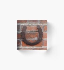 horse shoes Acrylic Block