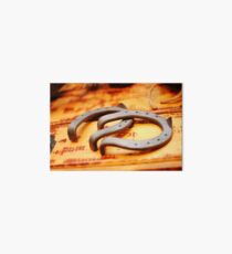 horse shoes Art Board
