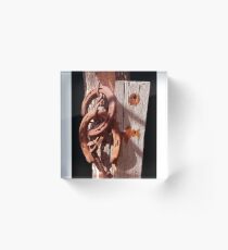 horse shoes Acrylic Block