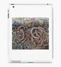 horse shoes iPad Case/Skin