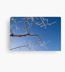 Reach Out Canvas Print