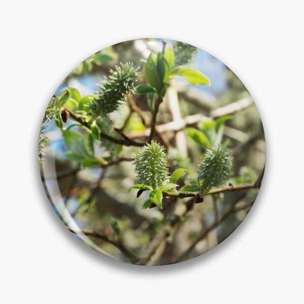 Item preview, Goat Willow designed and sold by Alternative Perspectives.