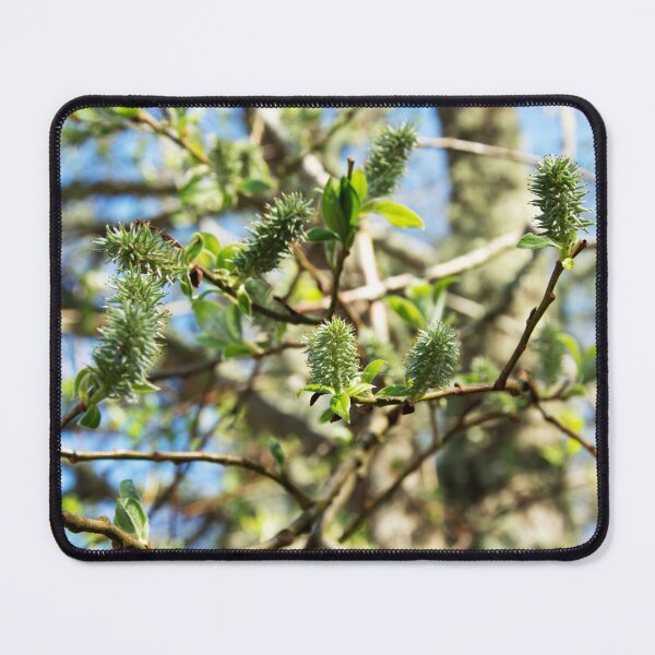 Item preview, Goat Willow designed and sold by Alternative Perspectives.