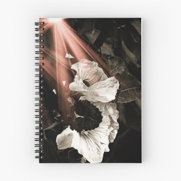 Item preview, Sunbursted Flower designed and sold by SRosuphotos.