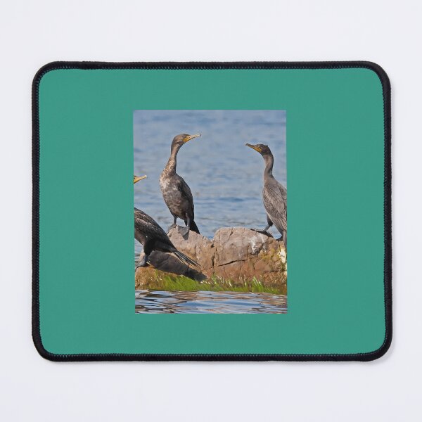 Item preview, Avian Figurines Throw Pillow 	 designed and sold by pxhtdcbu93.