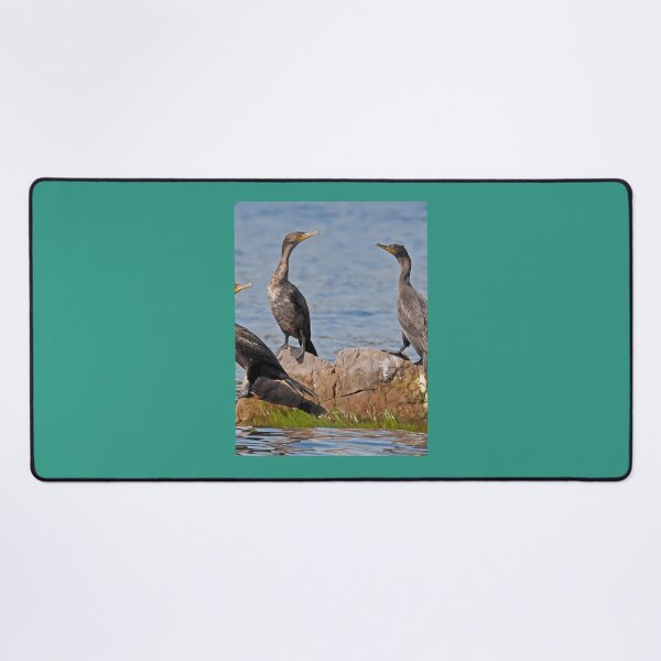 Item preview, Avian Figurines Throw Pillow 	 designed and sold by pxhtdcbu93.