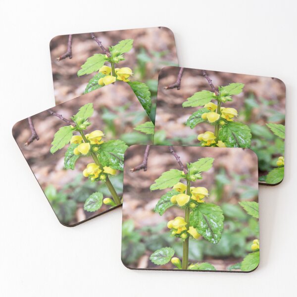 Item preview, Yellow Archangel designed and sold by Alternative Perspectives.