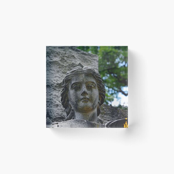 Artikelvorschau, Westlawn Cemetary, Canton Ohio entworfen und verkauft von RabbitHole13.