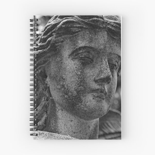 Item preview, Westlawn Cemetary, Canton Ohio designed and sold by RabbitHole13.