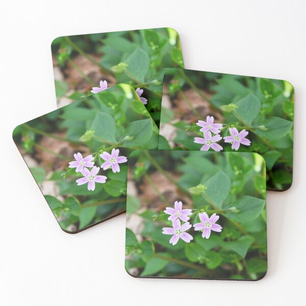 Item preview, Pink Purslane designed and sold by Alternative Perspectives.