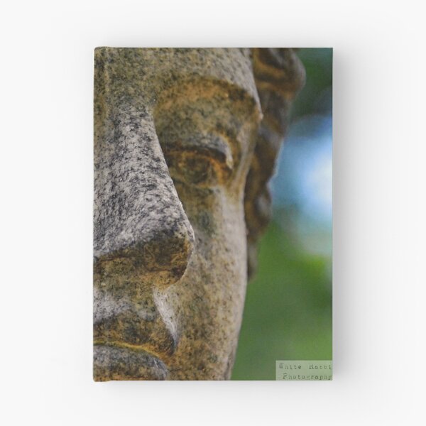 Item preview, Westlawn Cemetary, Canton Ohio designed and sold by RabbitHole13.