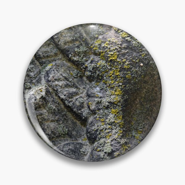 Item preview, Westlawn Cemetary, Canton Ohio designed and sold by RabbitHole13.