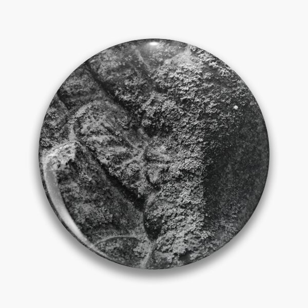 Item preview, Westlawn Cemetary, Canton Ohio designed and sold by RabbitHole13.