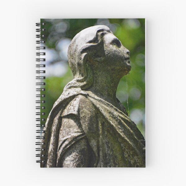 Item preview, Westlawn Cemetary, Canton Ohio designed and sold by RabbitHole13.