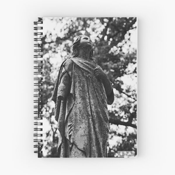 Item preview, Westlawn Cemetary, Canton Ohio designed and sold by RabbitHole13.