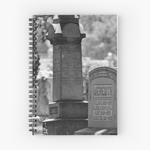 Item preview, Westlawn Cemetary, Canton Ohio designed and sold by RabbitHole13.