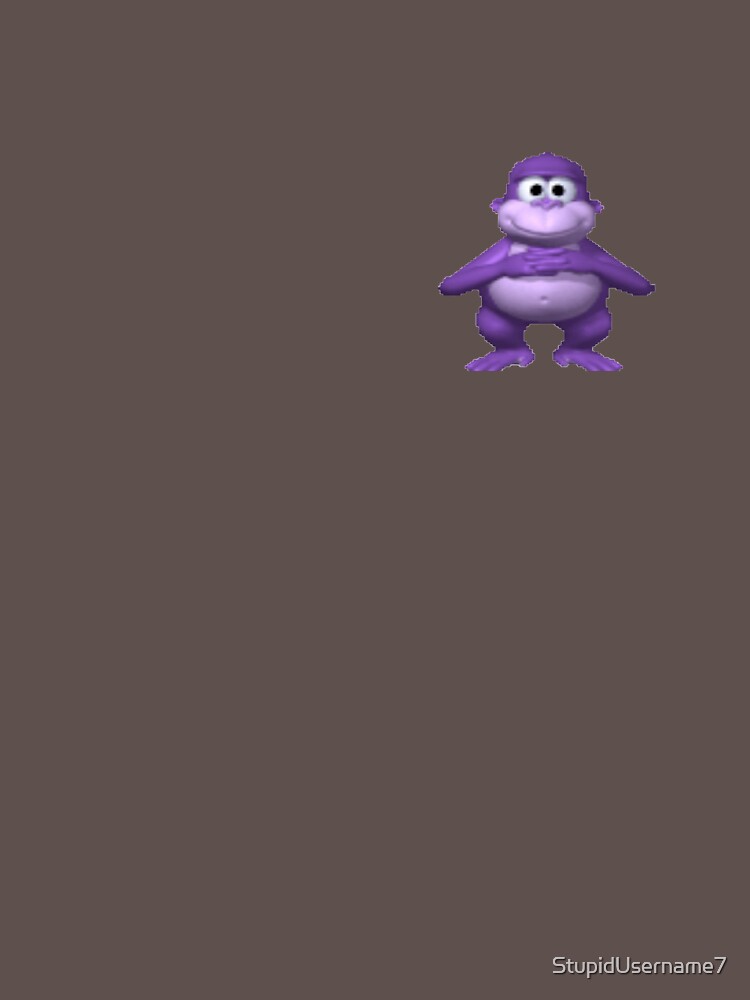 ethan downloads bonzi buddy