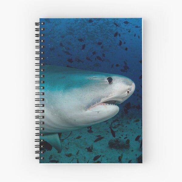 Item preview, Tiger Shark designed and sold by Fishfacephoto.