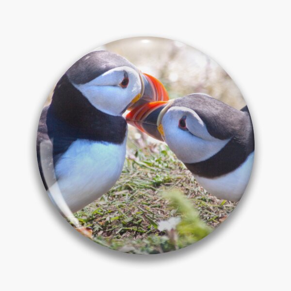Item preview, Married Bliss (Atlantic Puffins) designed and sold by Krys Bailey.