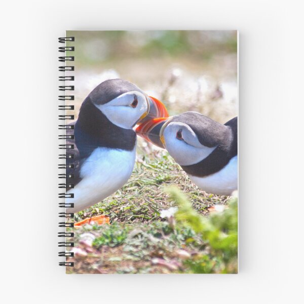 Item preview, Married Bliss (Atlantic Puffins) designed and sold by Krys Bailey.