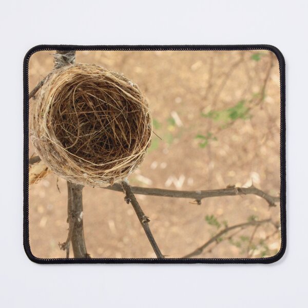 Item preview, A Bird's Nest on a Tree. designed and sold by VgBingi.