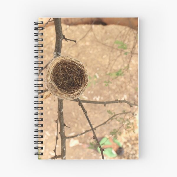 Item preview, A Bird's Nest on a Tree. designed and sold by VgBingi.