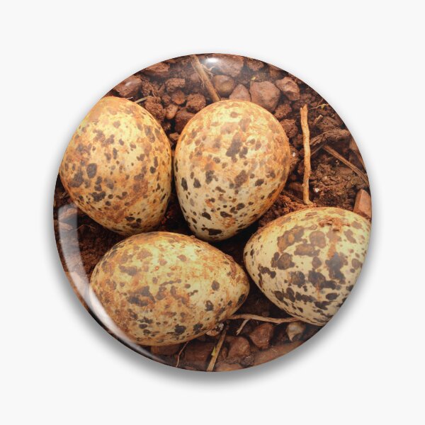 Item preview, Red-Wattled Lapwing Eggs in the Nest designed and sold by VgBingi.