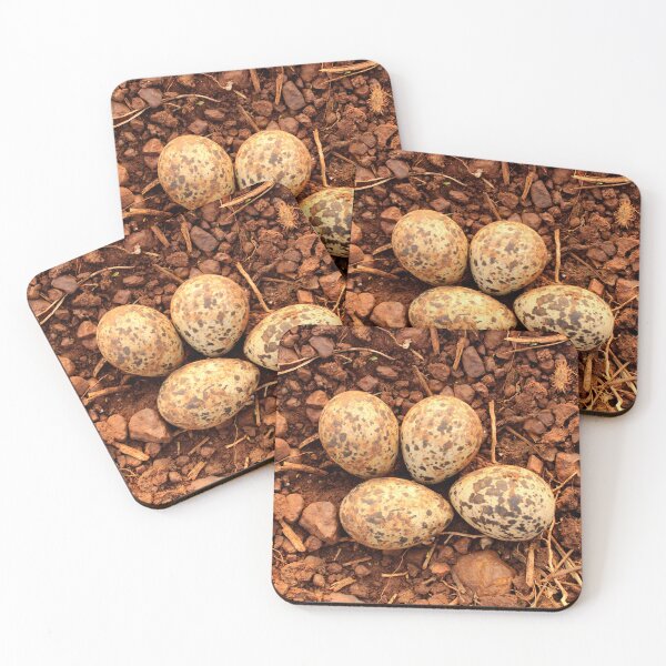 Item preview, Red-Wattled Lapwing Eggs in the Nest designed and sold by VgBingi.