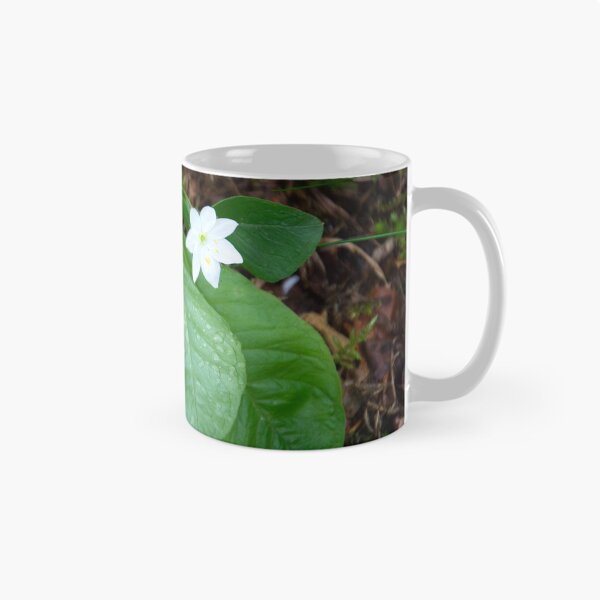 Item preview, Chickweed-wintergreen designed and sold by Alternative Perspectives.
